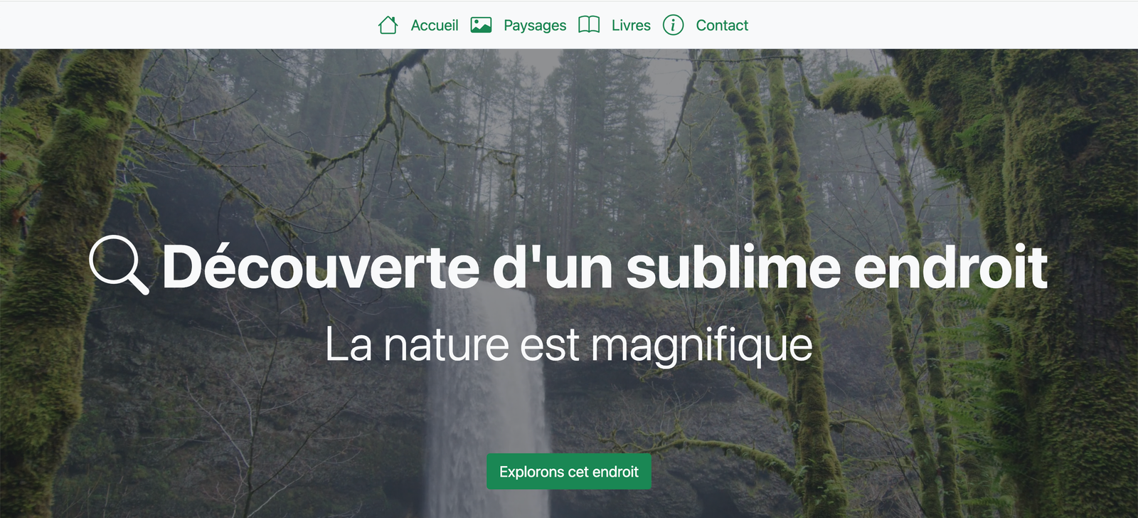 Paysage forêt